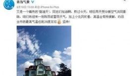 今日青岛爆料最新消息,揭秘神秘事件背后的真相