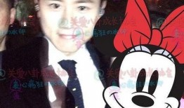 爆料张杰视频大全最新消息,精彩瞬间大盘点